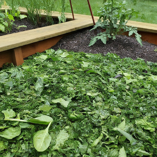 Grow Your Own Mulch