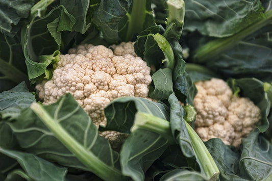 How to grow Cauliflower